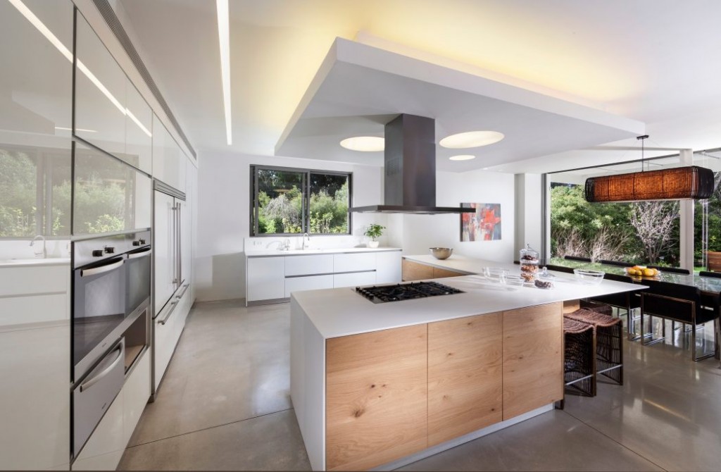 house savyon dror barda architects 004