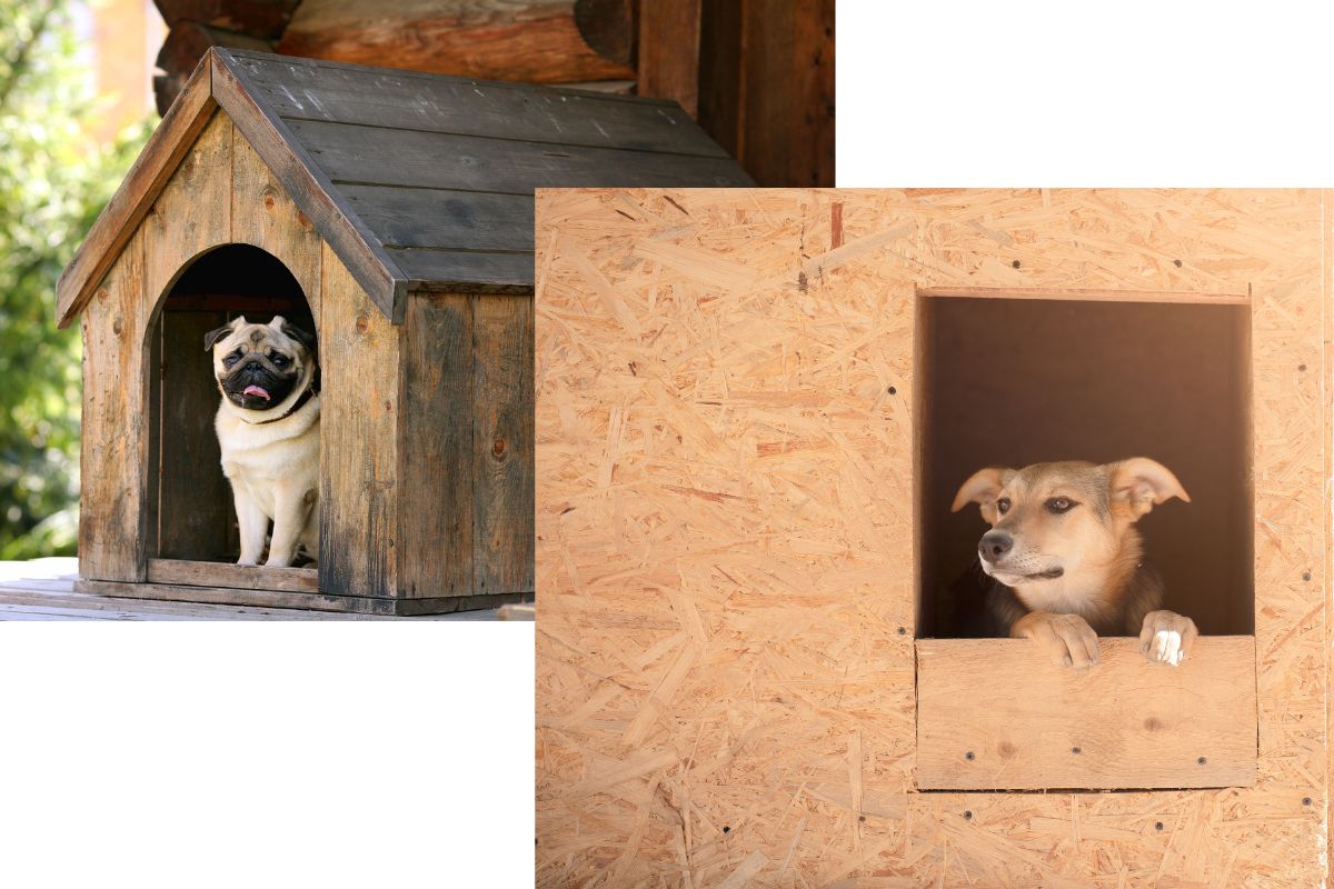 alcune cucce per cani fai da te in legno