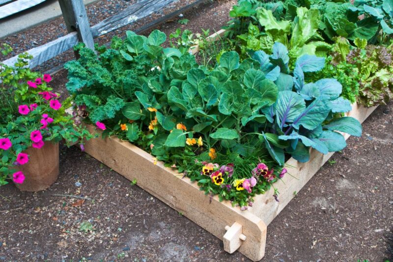 10 pezzi 25-30 cm Piume di struzzo naturali, piume di struzzo per il fai da te, piume per accessori fai da te per acchiappasogni, decorazione per la casa, costumi, decorazione da tavola