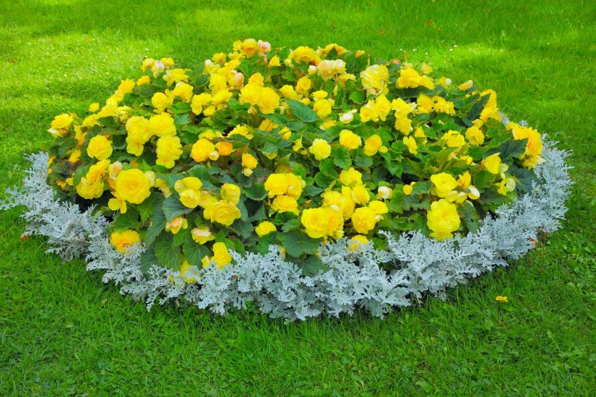 Come realizzare un’aiuola fiorita per la primavera: idee e materiali