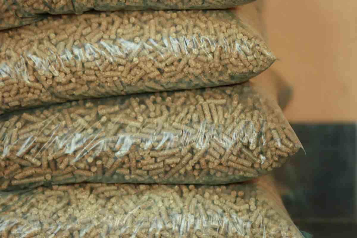 pellet sacchi