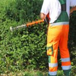 tagliare siepi con la motosega