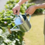 annaffiare giardino