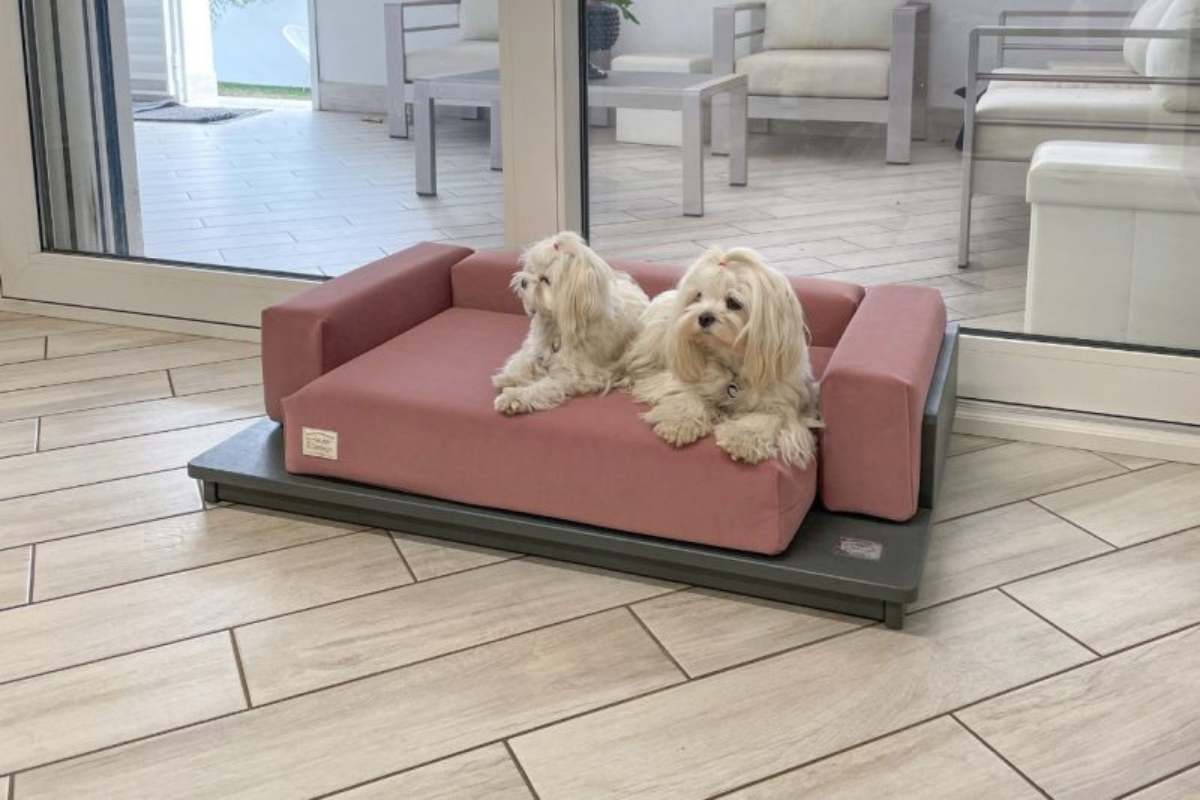 cuccia pethosedesign 29 7 2025 casadistile.it