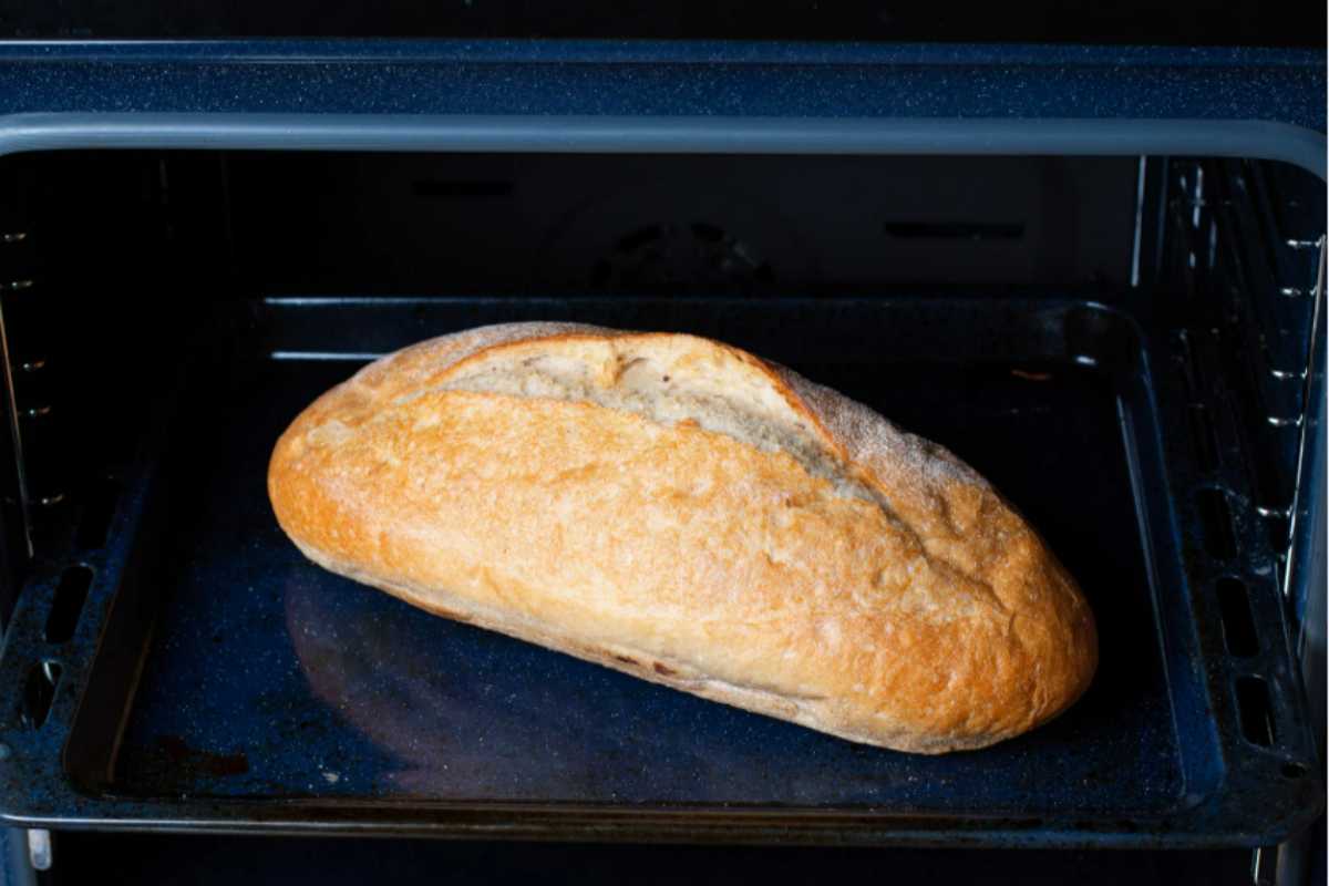 pane congelato