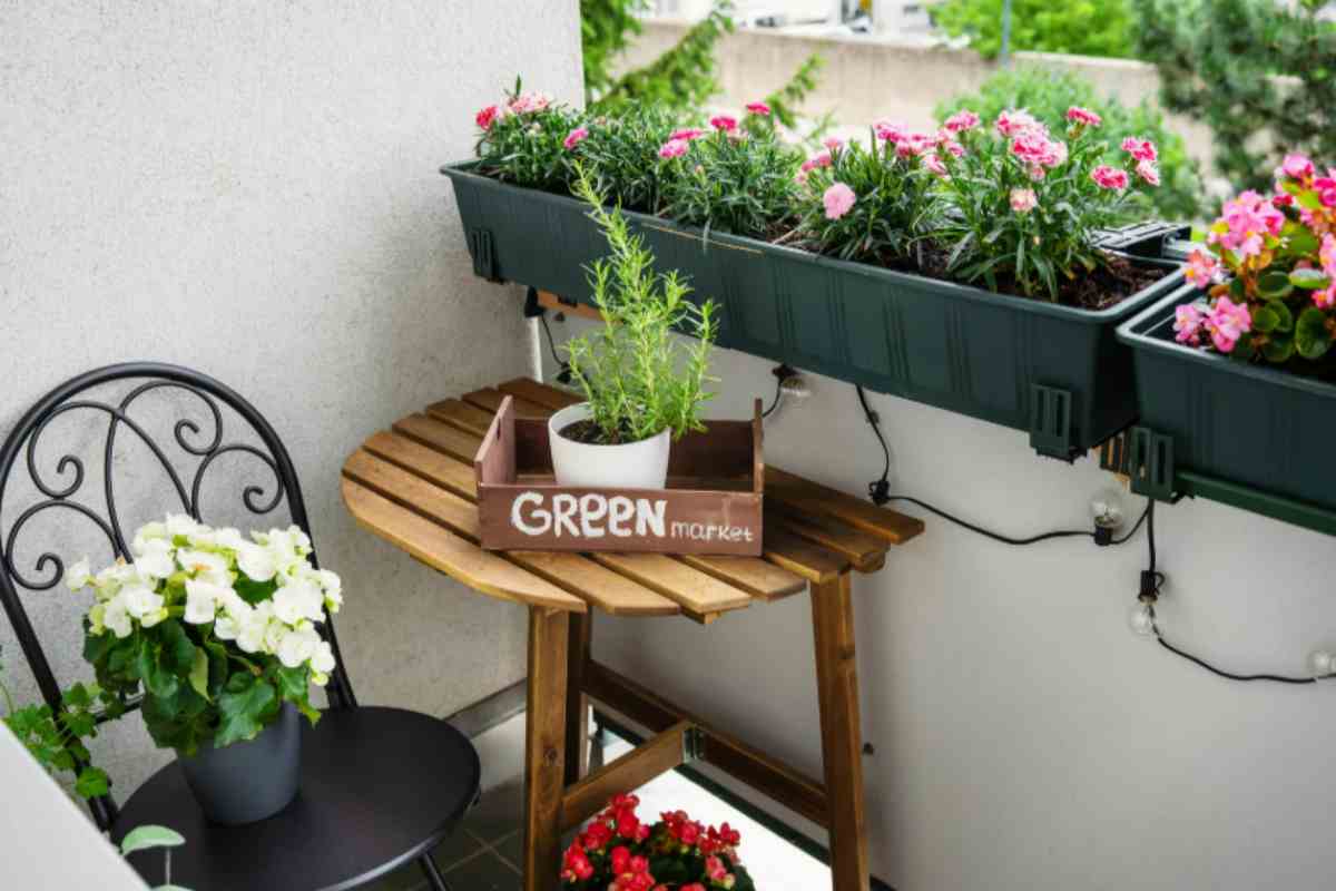piante sul balcone