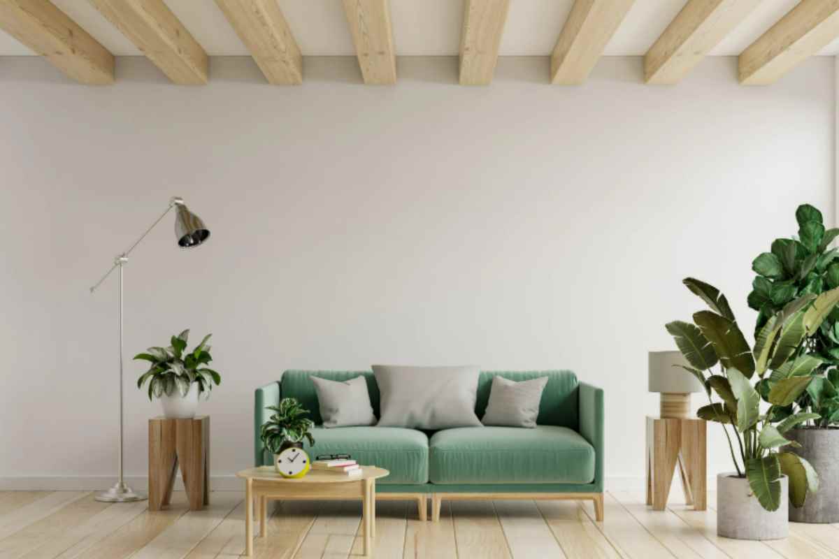 Addio vacanze: 3 piante da interno che ti riporteranno il profumo dell'estate, anche in salotto casa piante