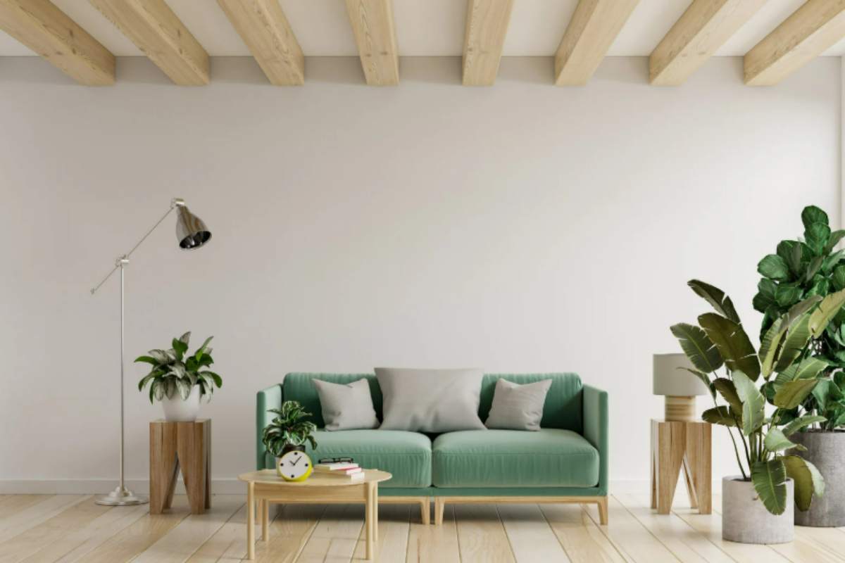 casa piante da appartamento