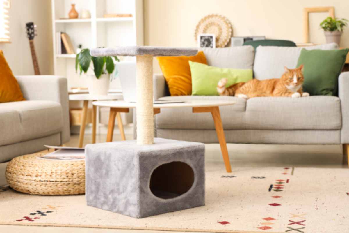 Un gatto più felice e un salotto da rivista: scopri i tiragraffi di design che arredano tiragraffi salotto
