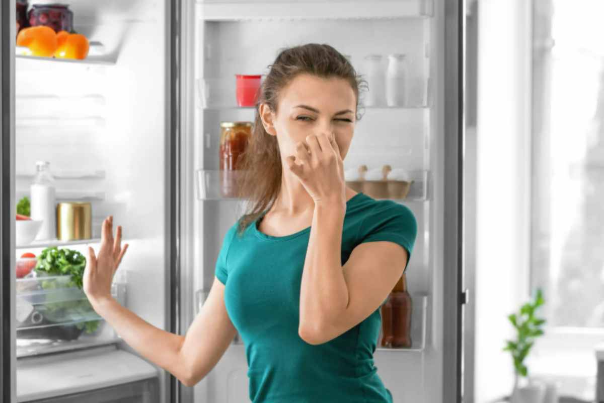 Il tuo frigo puzza? Bastano 2 ingredienti per una pulizia profonda che elimina tutti gli odori frigo cattivo odore
