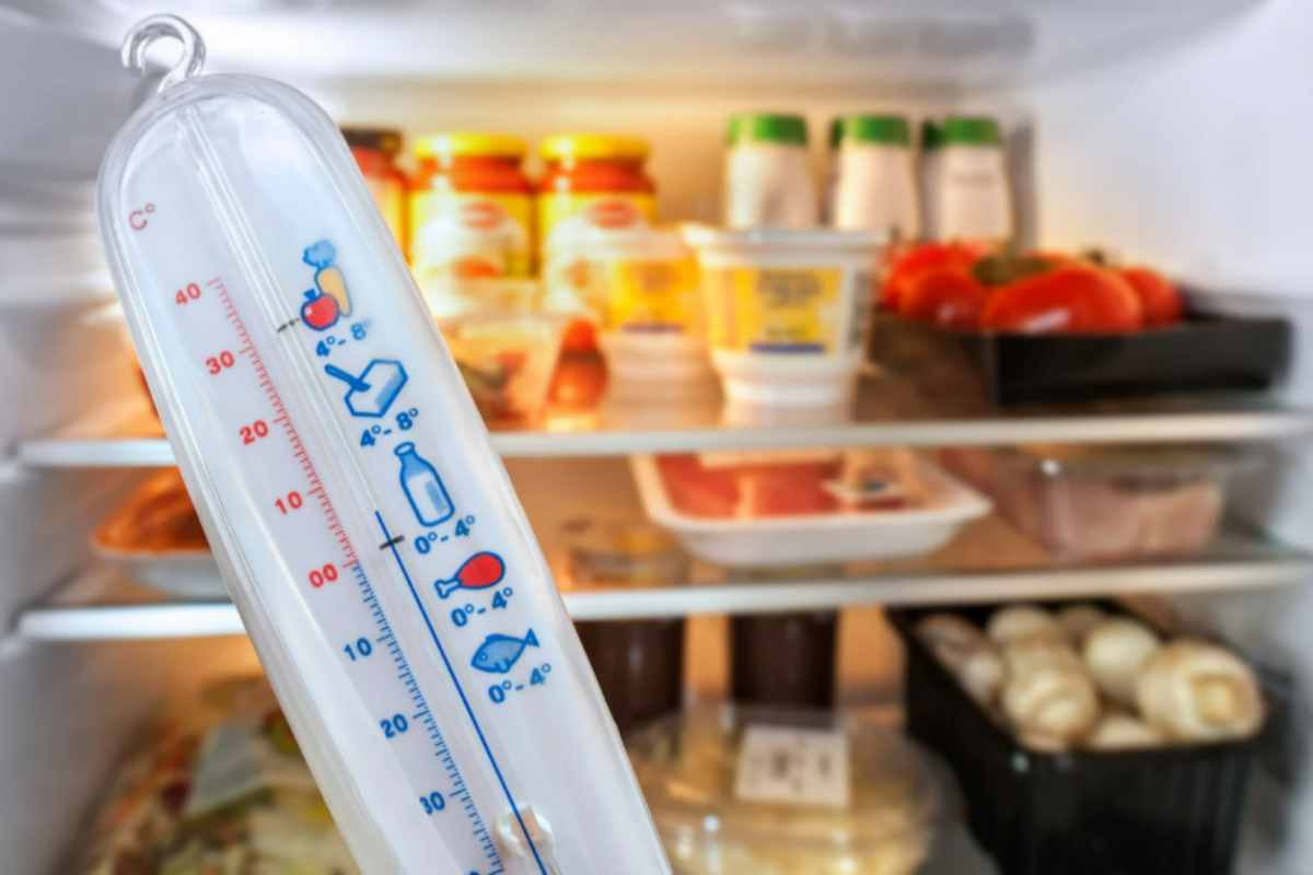 Il tuo frigo puzza? Bastano 2 ingredienti per una pulizia profonda che elimina tutti gli odori frigo temperatura 10 9 2025 casadistile.it