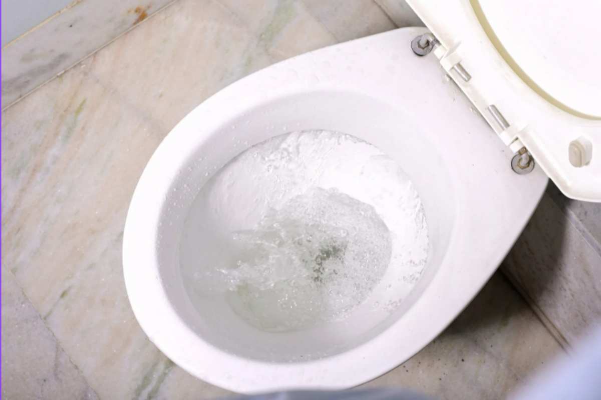 La Mossa Segreta dell'Idraulico: i 4 passi per azzerare il calcare nel water e risparmiare 100 euro l'anno calcare sporco water