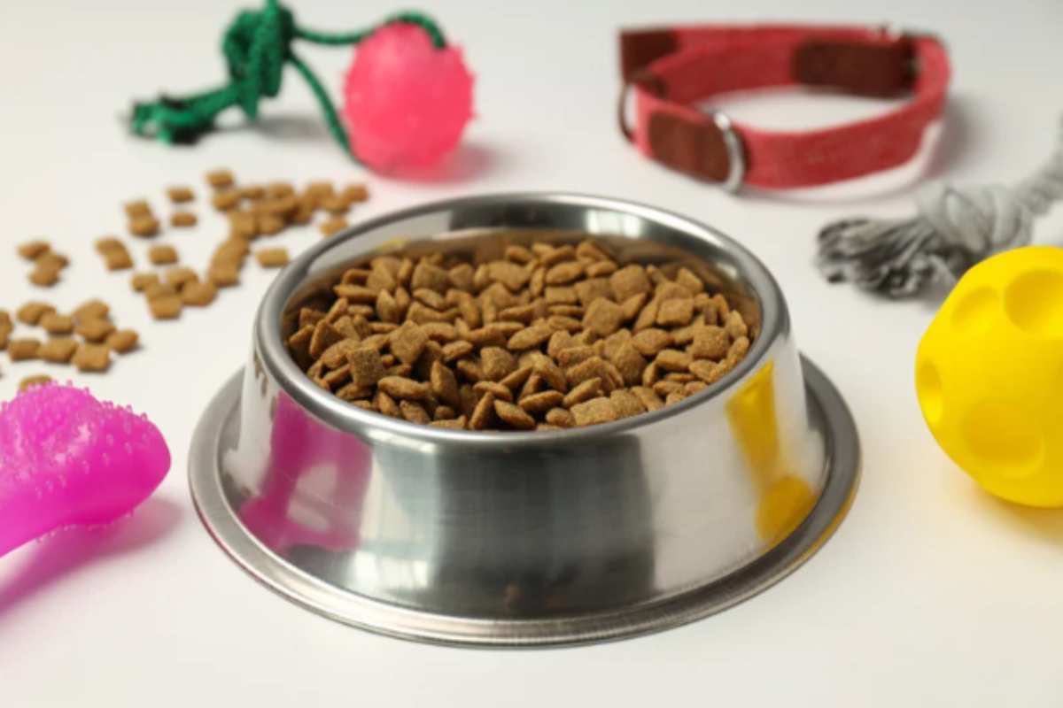 Ho usato solo un trucco che funziona sui barattoli sporchi: addio all'odore di cibo per animali dalla cucina cibo per animali