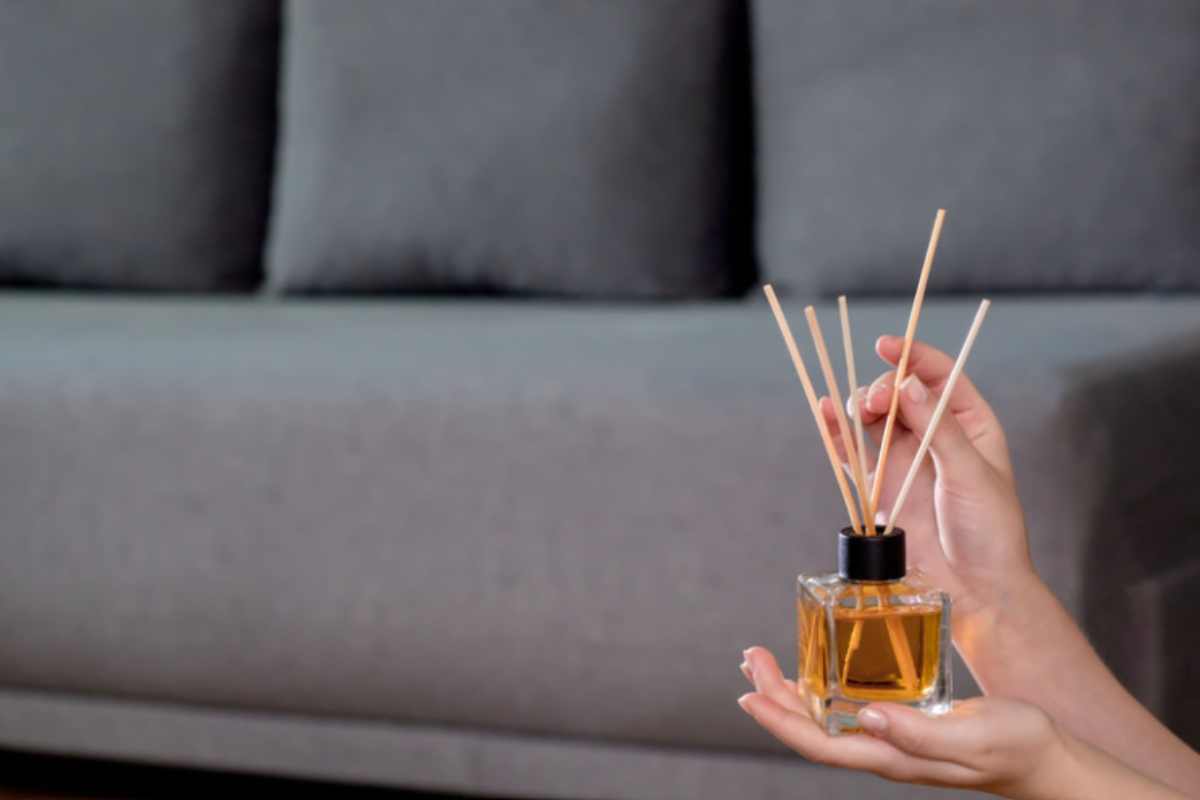 Il tuo ingresso sembra freddo e anonimo? I 3 tocchi da interior designer per trasformarlo in un caldo benvenuto autunnale diffusore ambiente