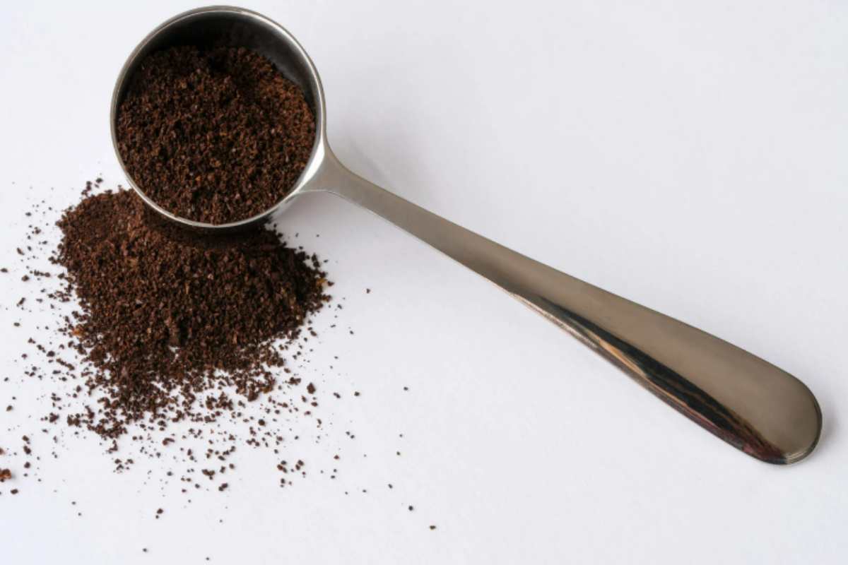 Non buttare i fondi di caffè: scopri 5 modi geniali per riutilizzarli per le piante e la casa fondi di caffè