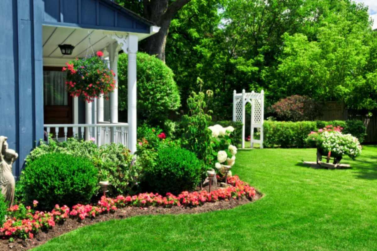 Il segreto per un giardino spettacolare, ecco i 5 bulbi da piantare questo mese per una fioritura incredibile giardino casa fiori