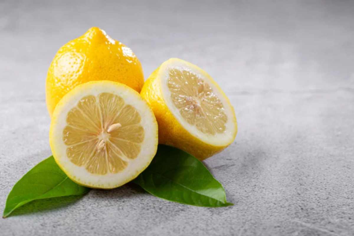 Ho usato solo un trucco che funziona sui barattoli sporchi: addio all'odore di cibo per animali dalla cucina limone