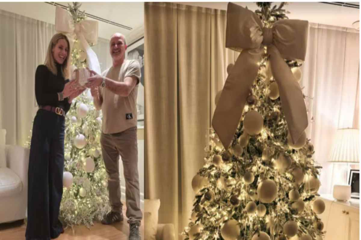 A casa di Michelle Hunziker è già festa: il suo albero di Natale è il trionfo dell'eleganza e dello stile albero di Natale Michelle Hunziker