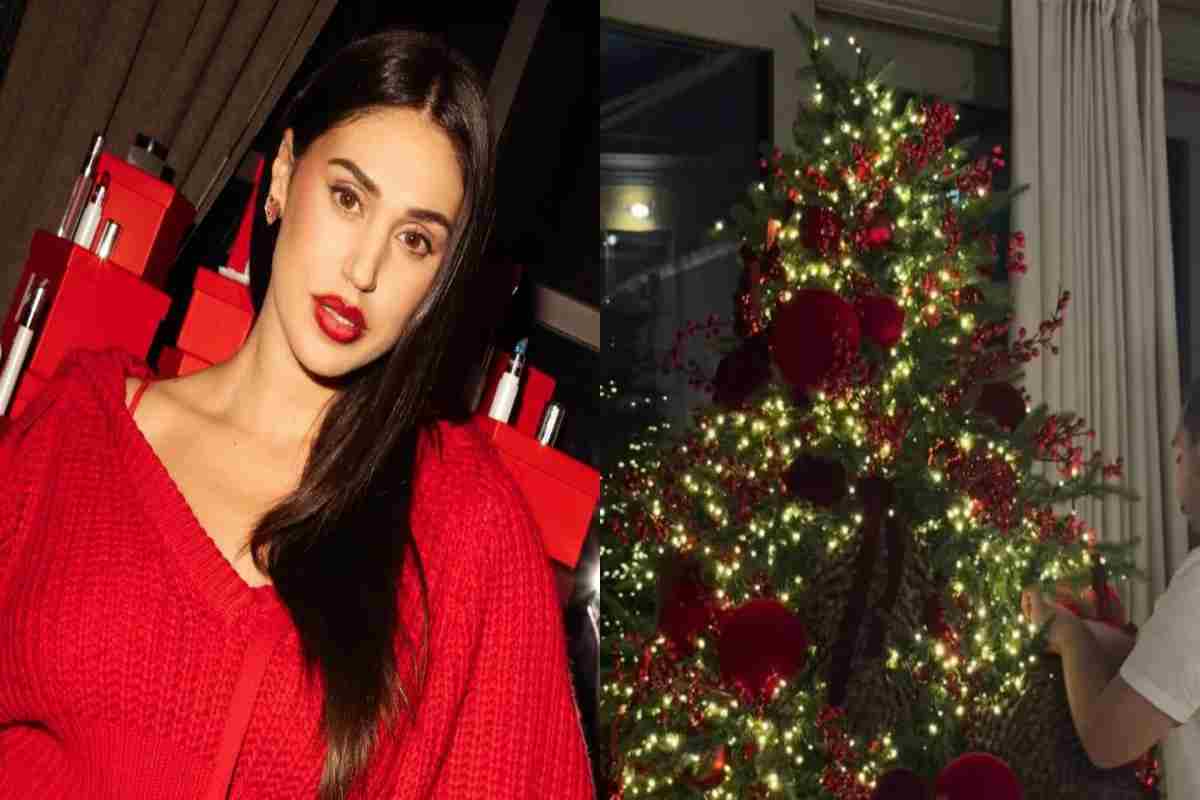 Il Natale speciale di Cecilia Rodriguez e Ignazio Moser: il loro albero è davvero romantico, tutto da copiare cecilia rodriguez ignazio moser alber 7 12 2026 casadistile.it