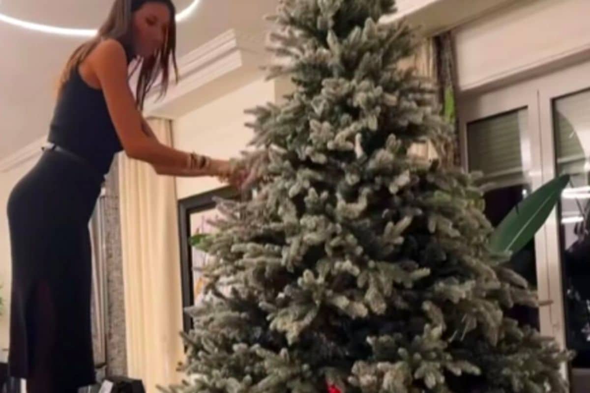 A casa di Elisabetta Gregoraci è già arrivato il Natale: il suo albero è bellissimo, i trucchi da copiare elisabetta gregoraci album 1 12 2025 casadistile.it