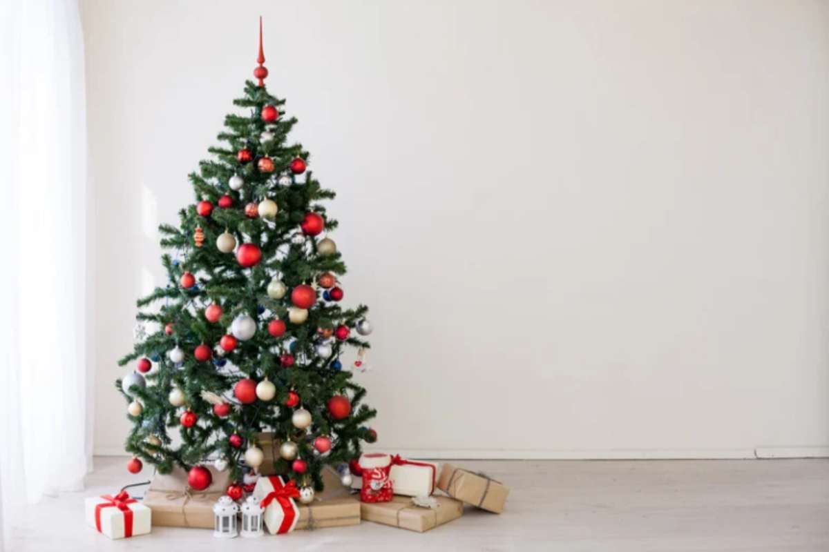 Smontare l'albero di Natale ti mette tristezza? Puoi aspettare, ecco quando farlo se non vuoi attirare sfortuna albero di Natale