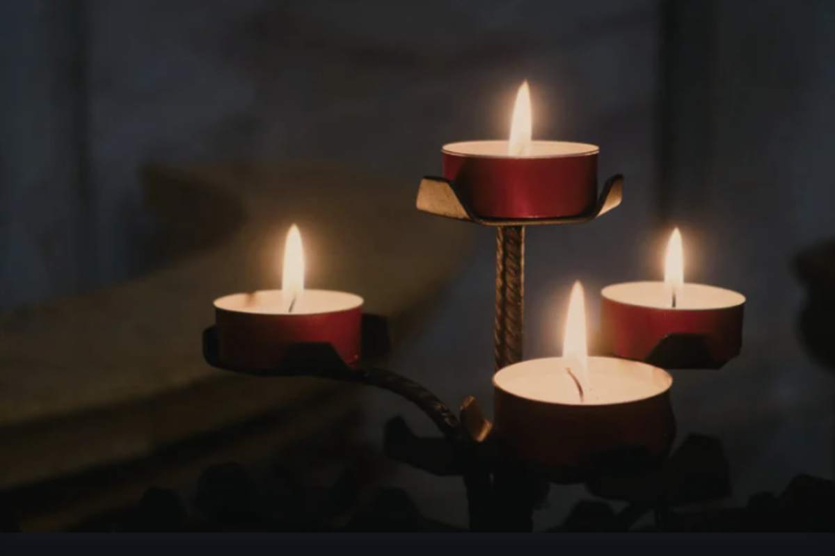 Oggi devi togliere l'albero di Natale in casa, l'hai già fatto? Hai sbagliato, ecco perché Candelora