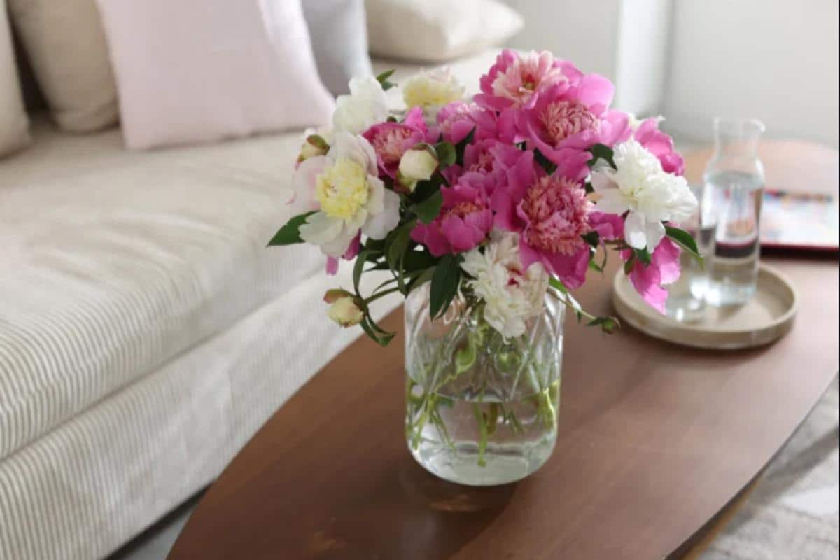 fiori freschi in casa