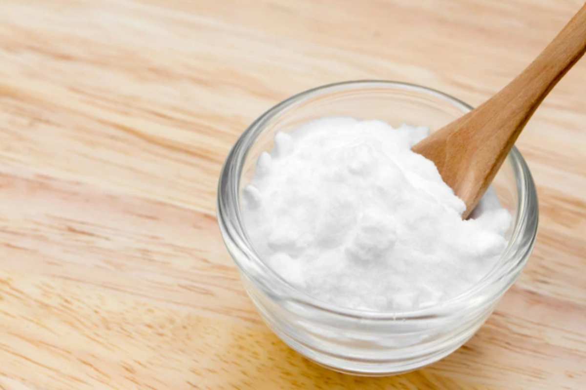 Formiche in casa: dove mettere il bicarbonato per fermarle davvero bicarbonato