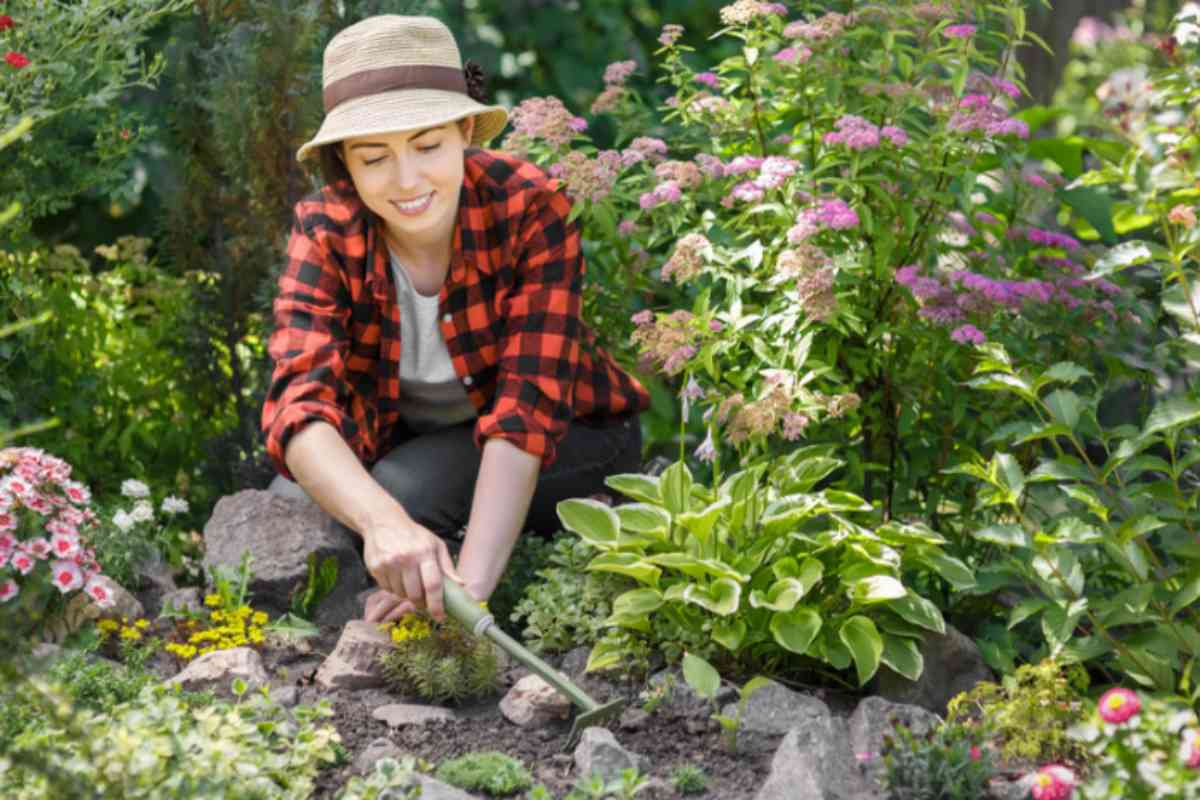 Erbacce tra le mattonelle del giardino: 5 rimedi naturali che le tengono lontano per mesi erbacce aiutole