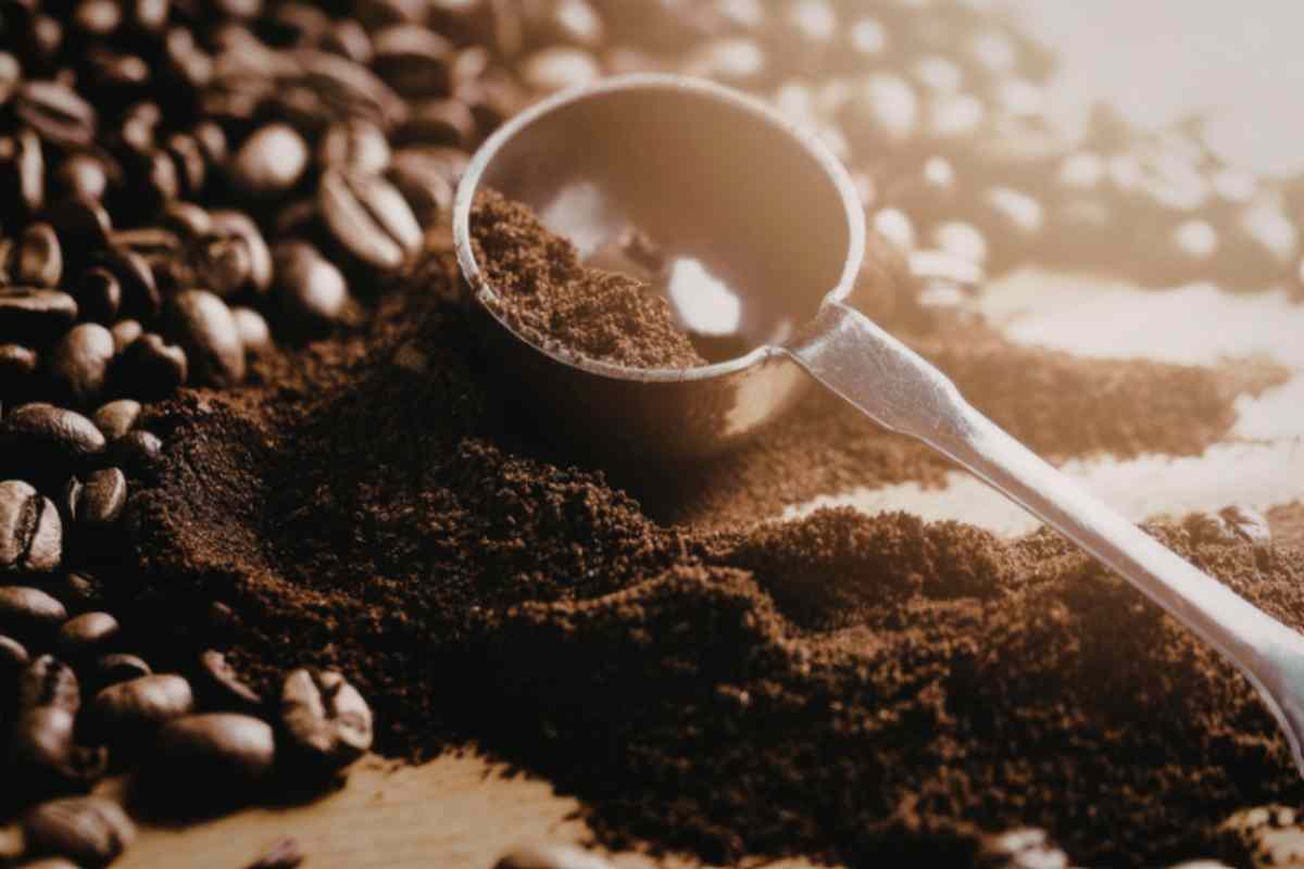 Fondi di caffè per i pomodori a maggio: come usarli davvero (e perché "sopra" non funziona) fondi di caffè