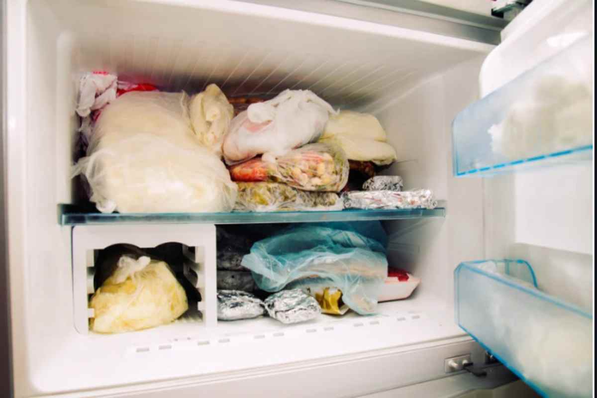 Un freezer mezzo vuoto ti costa il doppio in bolletta: il trucco dei ristoratori per riempirlo senza sprecare cibo freezer pieno