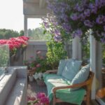 balcone piante