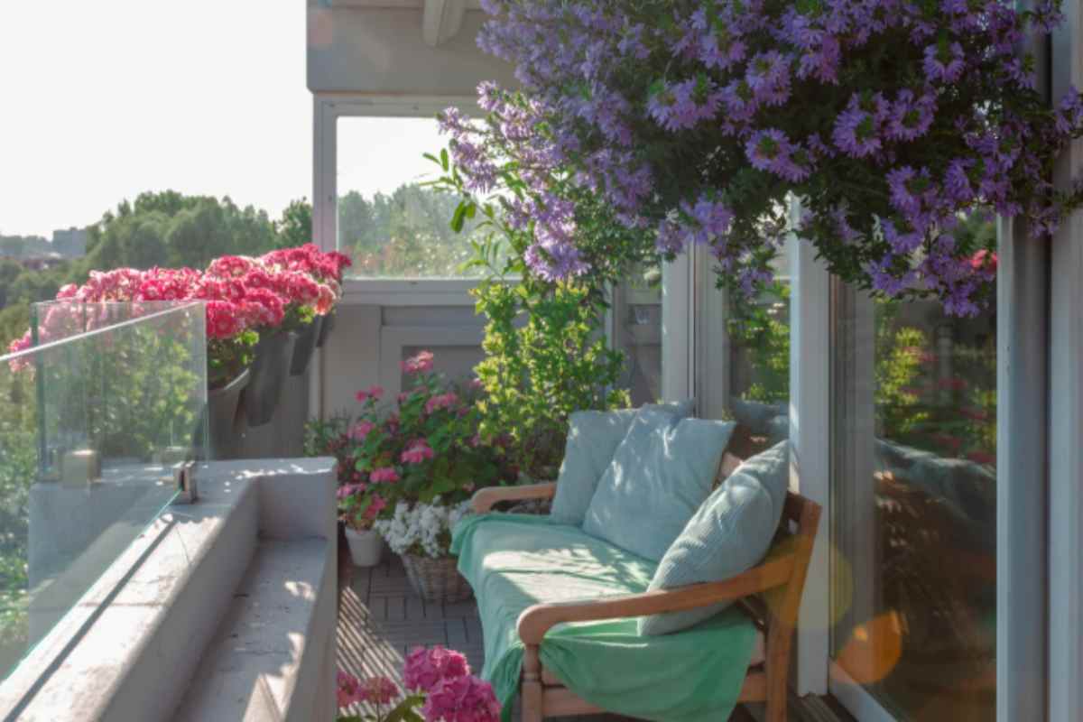Caldo record giugno 2026: se hai queste tre piante sul balcone devi spostarle entro sera o le perdi balcone piante maggio 13 6 2026 casadistile.it