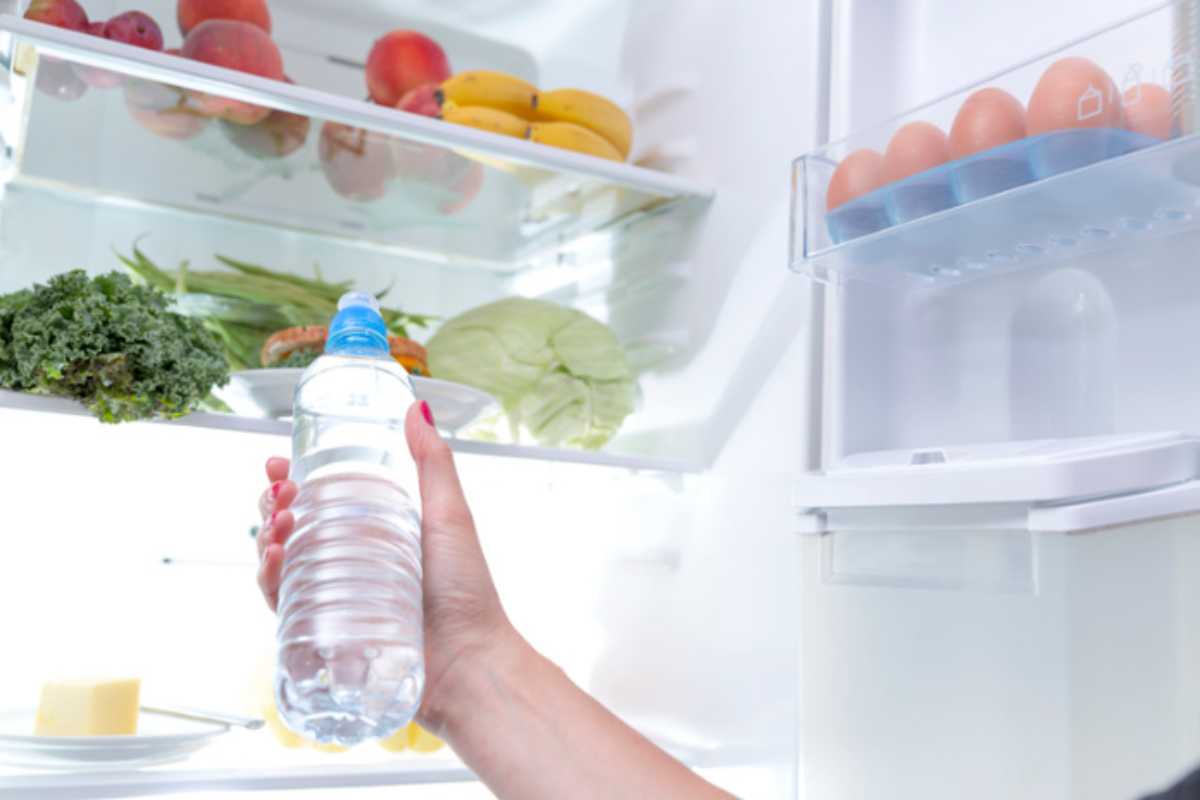 Frigo in estate: il ripiano dove NON mettere mai l'acqua (e perché consuma il doppio) bottiglie acqua in frigo