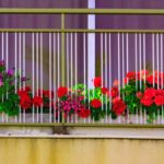 fiori balcone