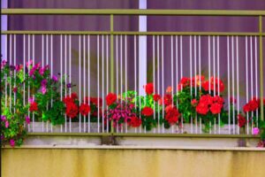 fiori balcone