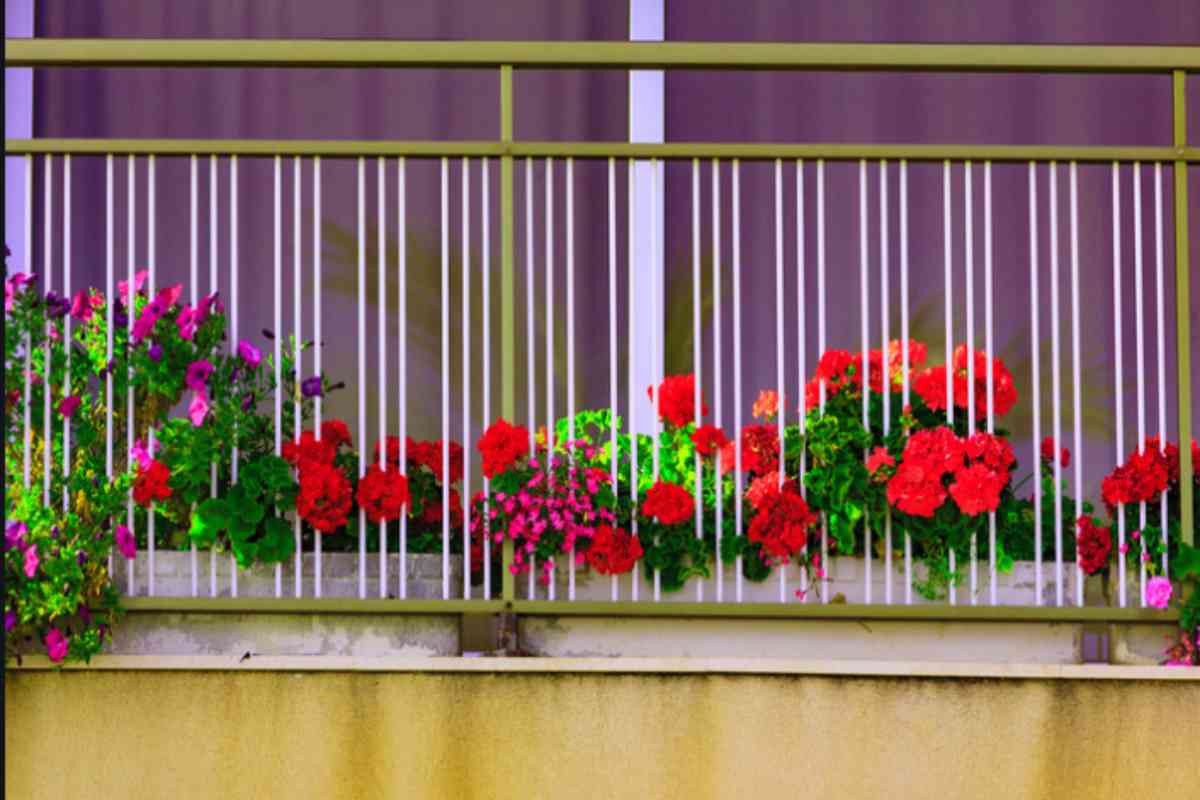 fiori balcone