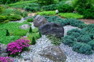 Giardino di sassi: 12 piante che durano anni e l'errore di drenaggio che rovina tutto in 6 mesi giardino roccioso