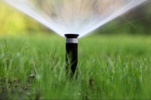 Prato verde ad agosto senza annaffiare ogni giorno: il gesto al tramonto che i greenkeeper fanno prima dell'irrigazione annaffiare prato verde