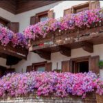 balcone fiorito