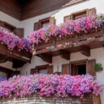 balcone fiorito