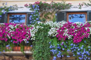 Composizione vasi terrazzo: lo schema a cascata fiorita dei paesaggisti per giardini pensili fiori cascata balcone