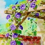 fiori rampicanti pergolato