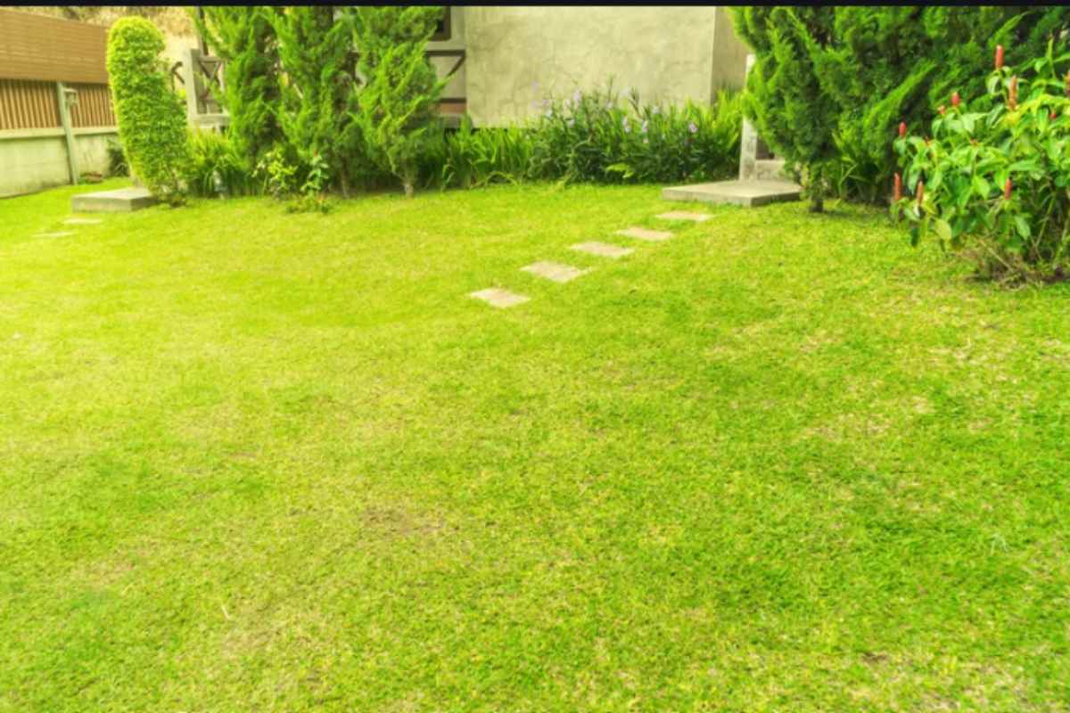 Prato luglio 2026: la regola delle 3 settimane dei greenkeeper professionisti che i campi da golf usano per restare verdi a 38 gradi prato verde
