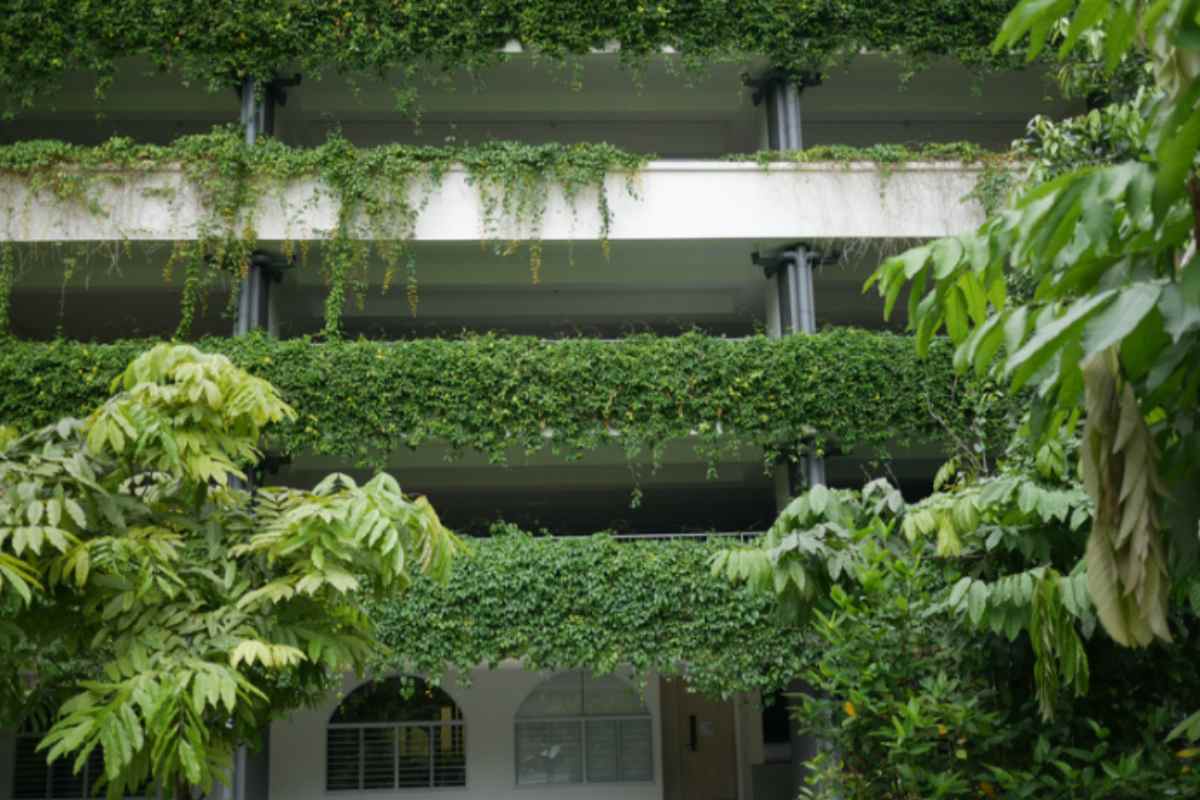 Gli architetti del paesaggio hanno rivelato le 6 combinazioni di colore per terrazzo che definiranno l'estate 2026: una ti sorprenderà terrazzo piante verdi