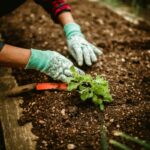 lavoro in giardino