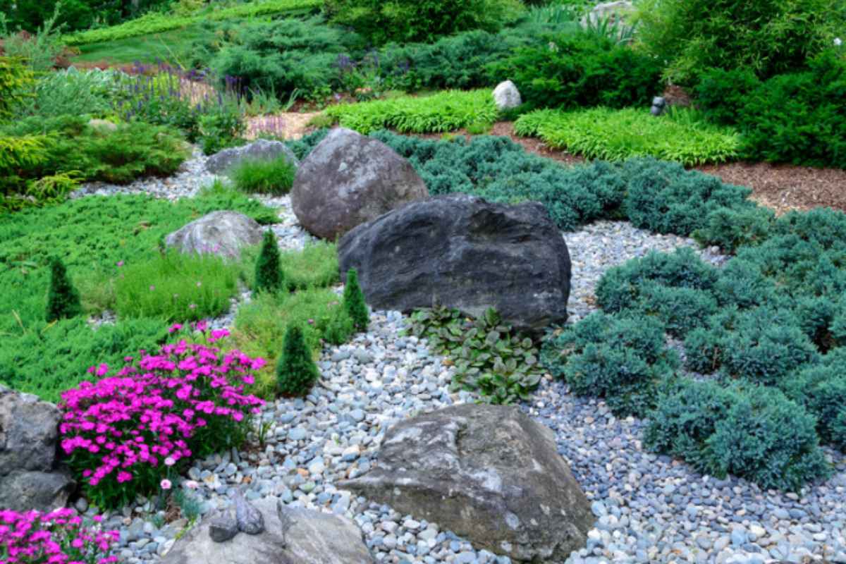 Giardino di sassi: 12 piante che usano i paesaggisti (e 4 errori che rovinano tutto in 6 mesi) giardino di sassi