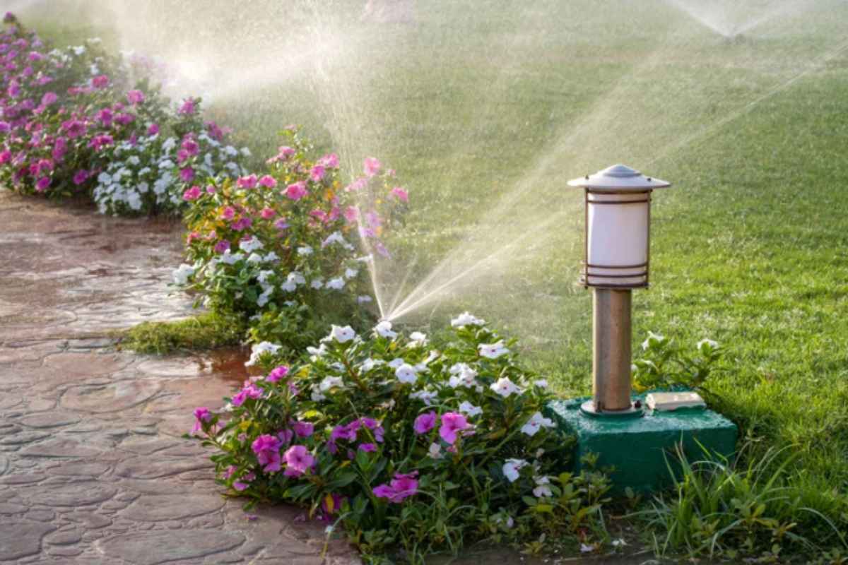 Prato agosto: i greenkeeper rivelano l'ora esatta di annaffiatura prima di arrivare a settembre irrigazione prato