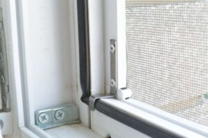 Fine estate 2026, zanzare ancora in casa: il picco di settembre che in pochi conoscono casa zanzare