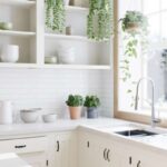 cucina canva